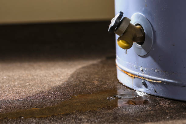 Best Water damage restoration process  in Streetsboro, OH