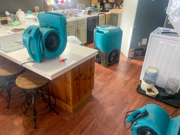 Best Residential water damage restoration  in Streetsboro, OH