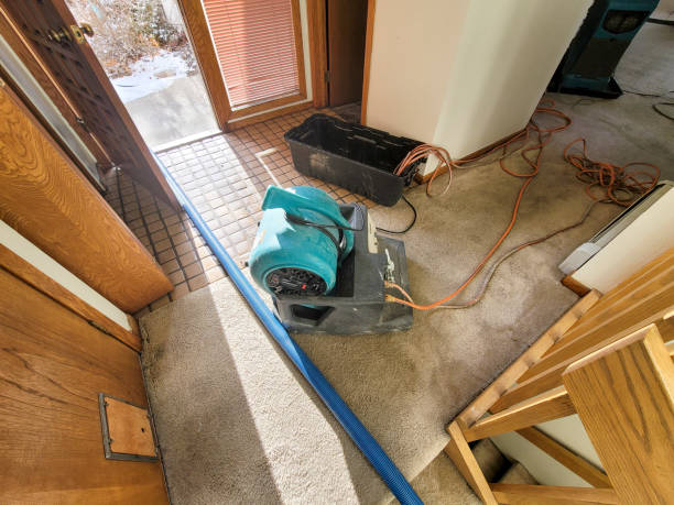 Best Water damage cleanup near me  in Streetsboro, OH