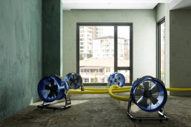 Best Water damage restoration near me  in Streetsboro, OH